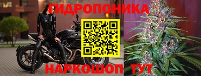 ALPHA PVP Донской