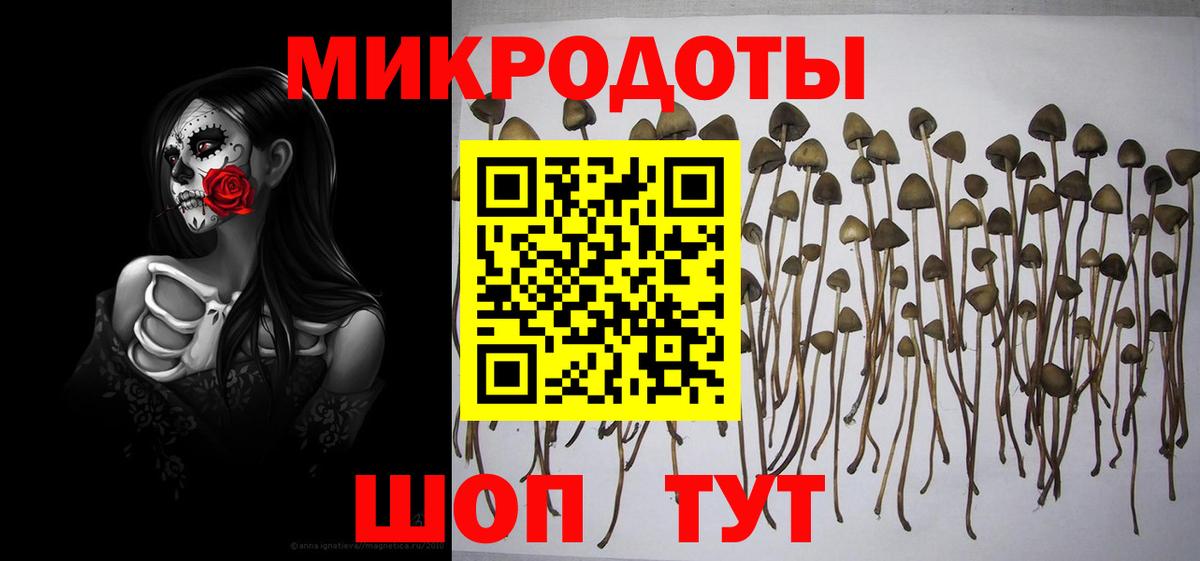 Галлюциногенные грибы мицелий Магадан