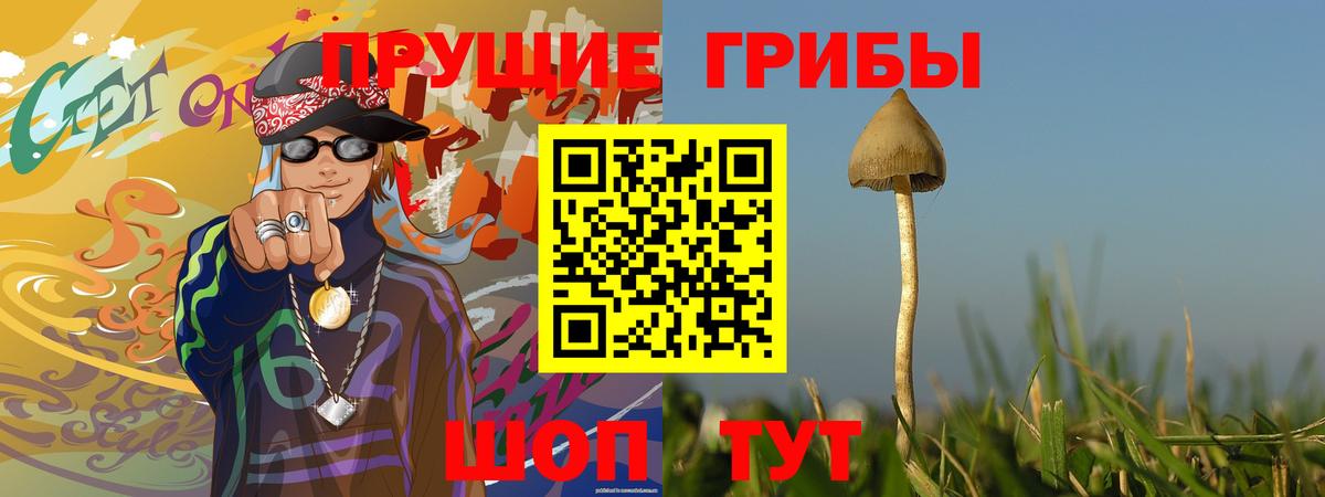 Магадан  Галлюциногенные грибы Psilocybine cubensis  Вход с VPN 