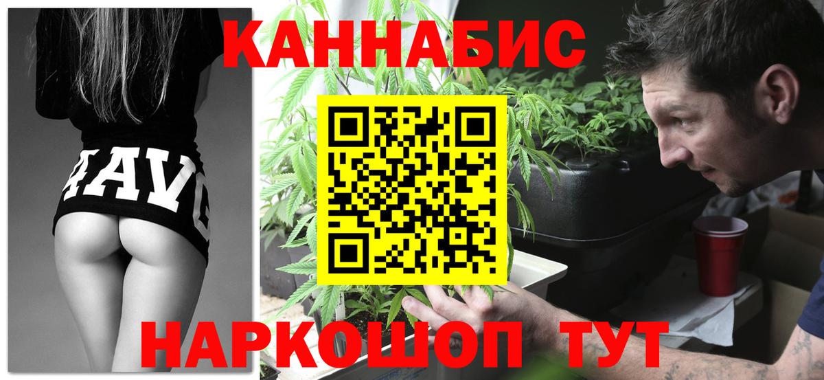 Магадан  Конопля семена  МАРИХУАНА планчик  Бошки Шишки сатива  Вход с VPN 